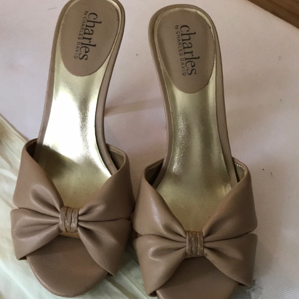 Charles David shoes